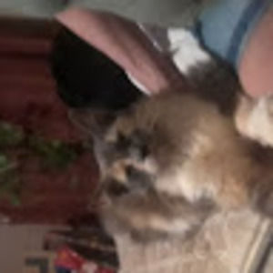 Meet your Posher, Sharyn